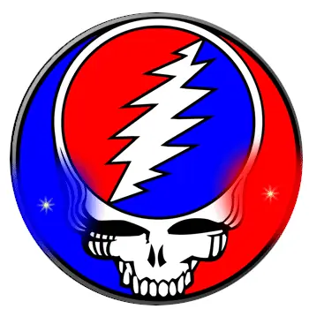 Animated Steal Your Face custom blinky light necklace