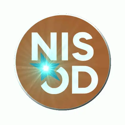 Animated NISOD custom LED pin